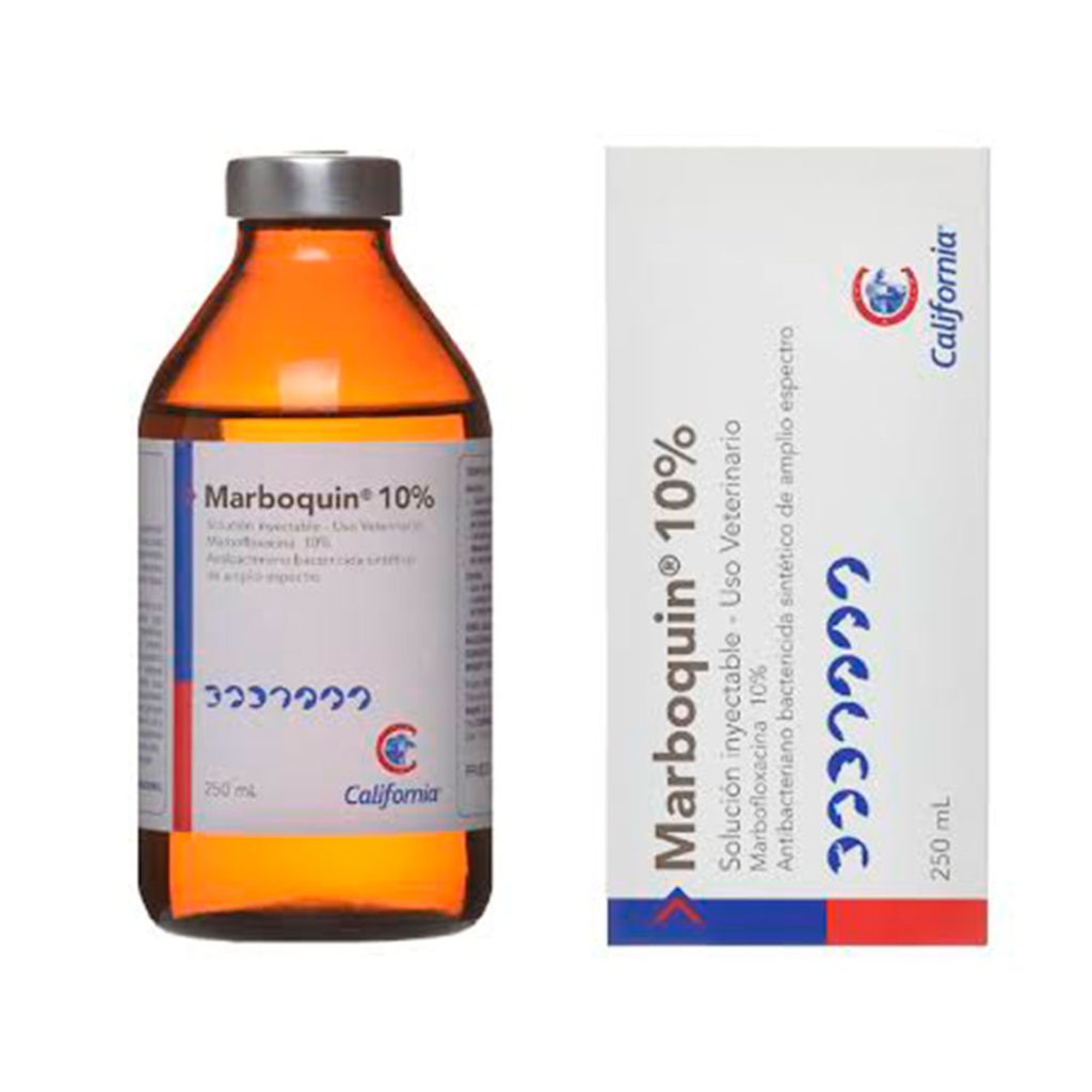 MARBOQUIN